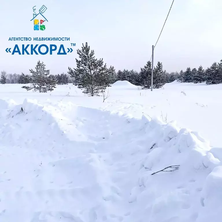 Участок в Алтайский край, Первомайский район, с. Фирсово, Рощино мкр ... - Фото 1