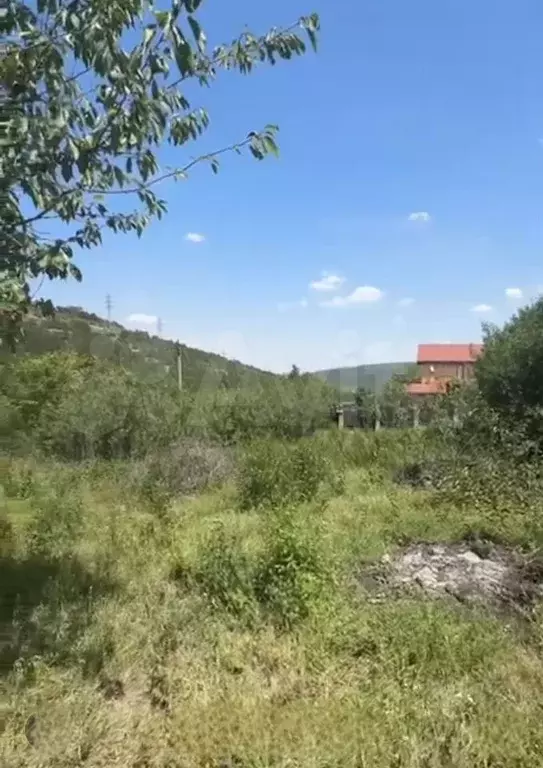 Участок 9,8 сот. (ИЖС) - Фото 1