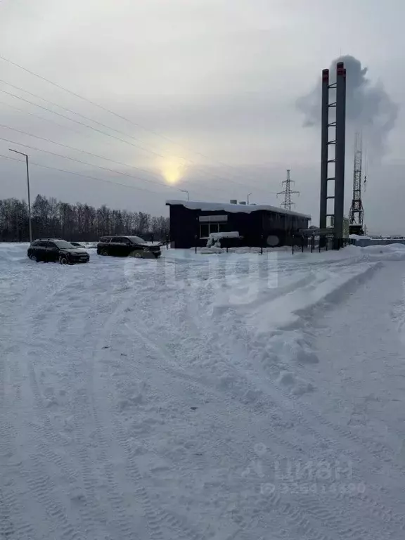 Студия Пермский край, Пермский муниципальный округ, с. Фролы ул. ... - Фото 2