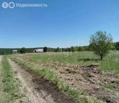 Участок в Красноярский край, Емельяновский муниципальный округ, ... - Фото 1