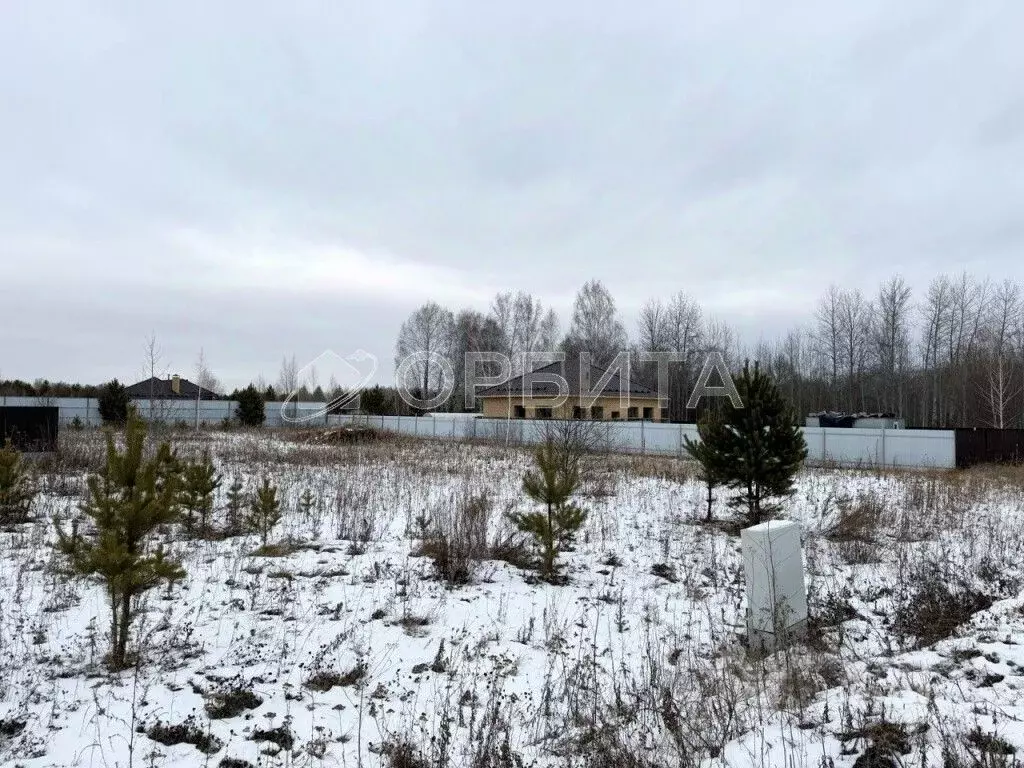 Участок в Тюменская область, Тюменский муниципальный округ, ... - Фото 1