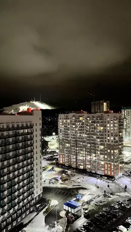 Студия Красноярский край, Красноярск Лесопарковая ул., 21 (16.0 м) - Фото 2