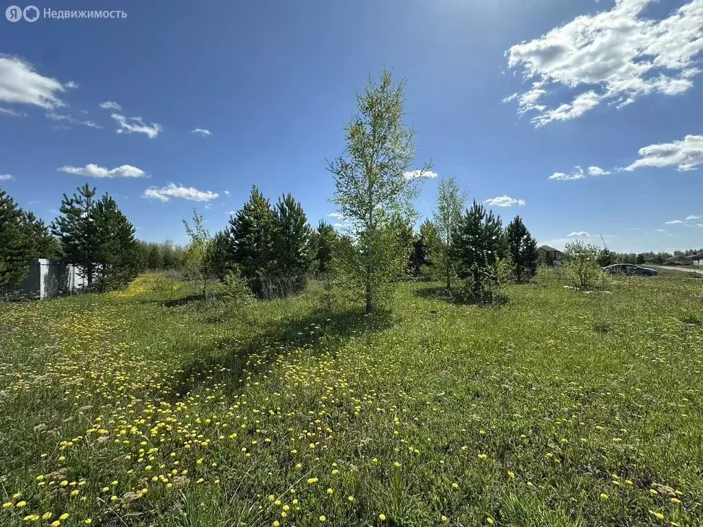 Участок в Переваловское муниципальное образование (8 м) - Фото 0