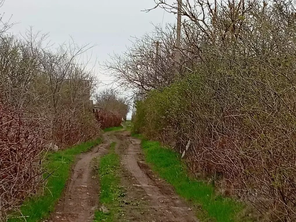 Участок в Краснодарский край, Динской район, Южно-Кубанское с/пос, ... - Фото 1