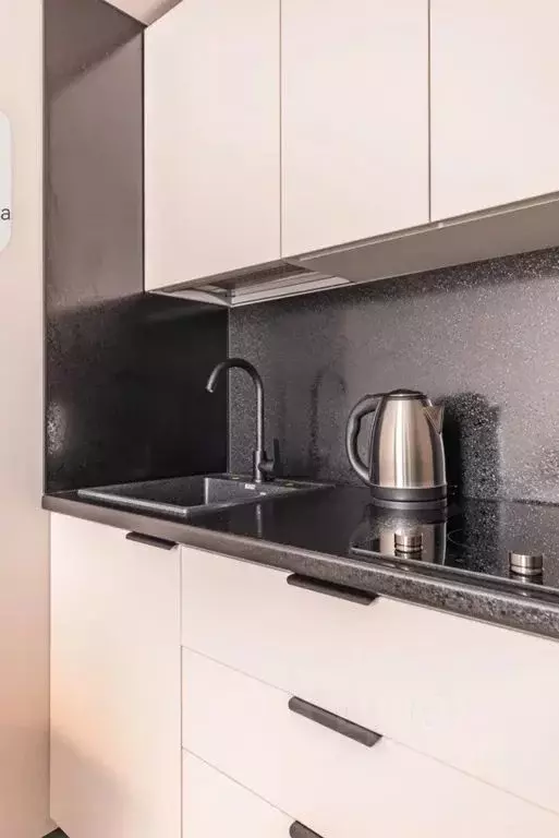 Студия Санкт-Петербург Малая Посадская ул., 23 (19.0 м) - Фото 2