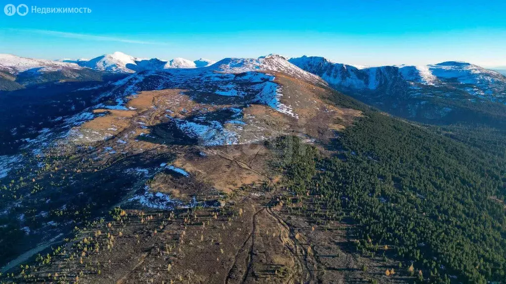 Участок в Чемальский район, село Чемал (441.6 м) - Фото 2