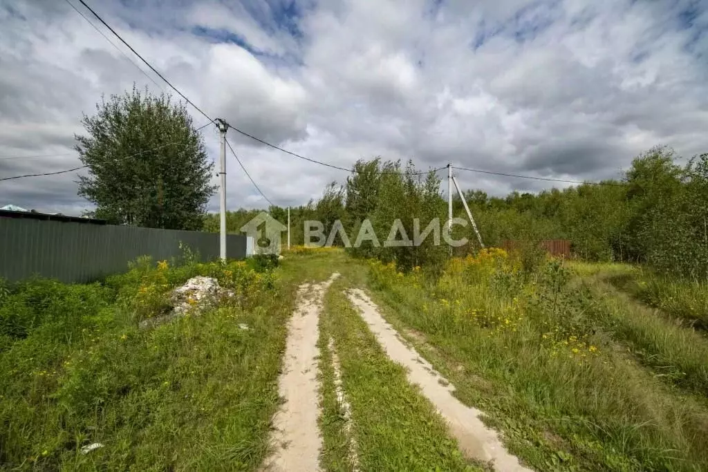 Участок в Нижегородская область, Богородский муниципальный округ, с. ... - Фото 1