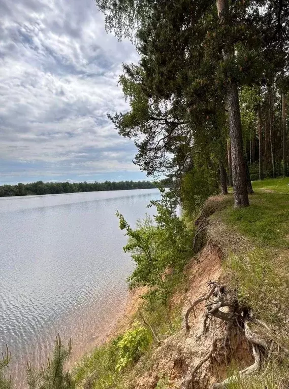 Участок в Московская область, Волоколамский городской округ, с. ... - Фото 0