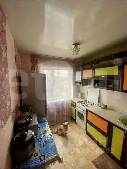 2-к кв. Коми, Сыктывкар Печорская ул., 16А (44.0 м) - Фото 2