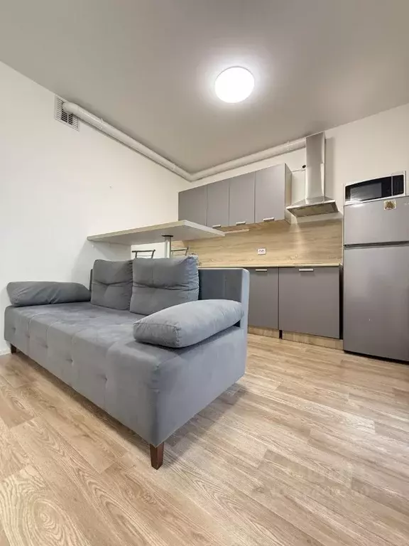 Студия Санкт-Петербург ул. Чарушинская, 24к1 (25.6 м) - Фото 1