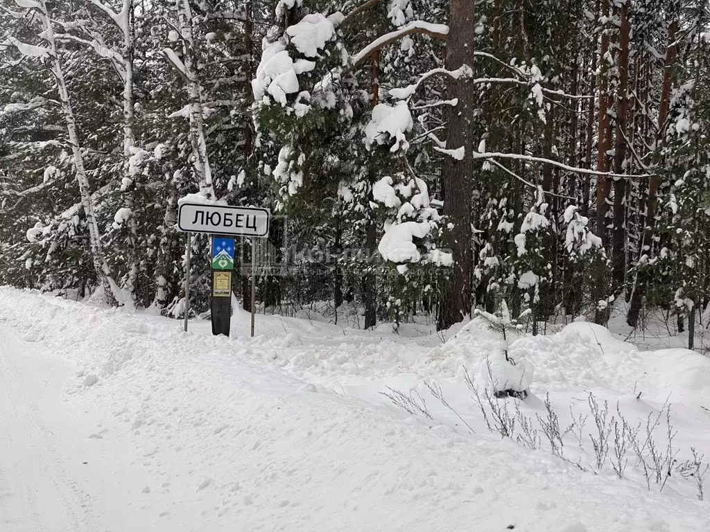 Участок в Владимирская область, Ковровский район, Новосельское с/пос, ... - Фото 1