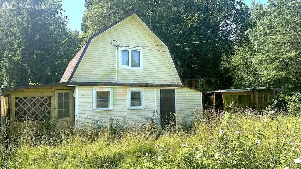 Дом в Потанинское сельское поселение, деревня Весь (50 м) - Фото 0