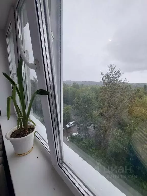 1-к кв. Омская область, Омск Крутая Горка мкр, ул. Силина, 11 (29.0 м) - Фото 2