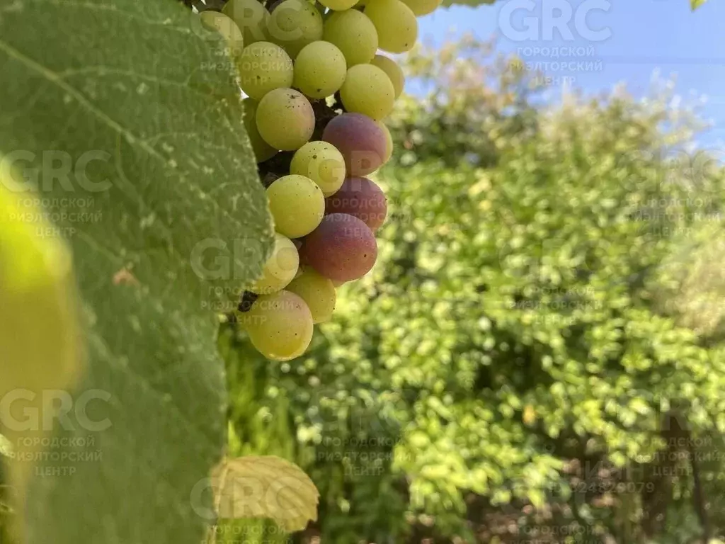 Дом в Краснодарский край, Сочи Восточная ул. (200 м) - Фото 2