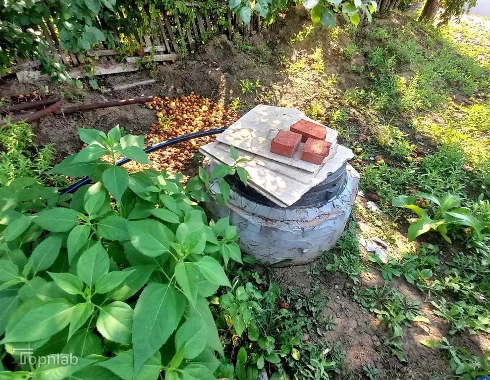 Участок в Саратовская область, Саратов Строитель-5 СНТ, ул. ... - Фото 1