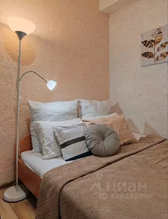 1-к кв. Свердловская область, Екатеринбург пер. Связной, 17 (26.0 м) - Фото 1