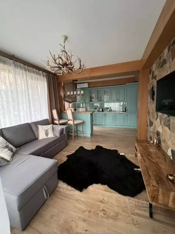 1-к кв. Краснодарский край, Сочи Красная Поляна пгт, ул. Пчеловодов, ... - Фото 2