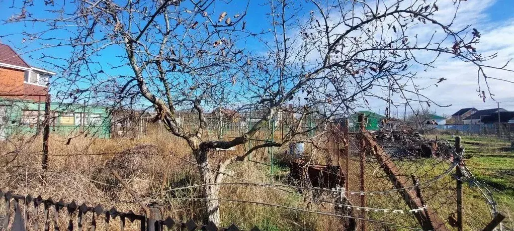 Участок, 6 сот., фермерское хоз-во - Фото 0