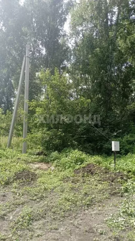 Участок в Новосибирская область, Новосибирск ул. Ивана Салащенко (10.0 ... - Фото 0