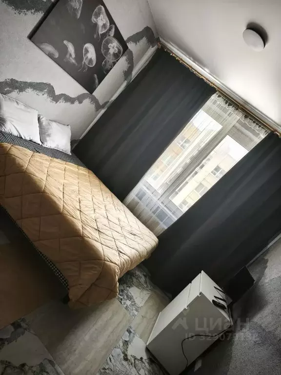 Студия Ленинградская область, Всеволожск Степной просп., 16к5 (20.0 м) - Фото 1