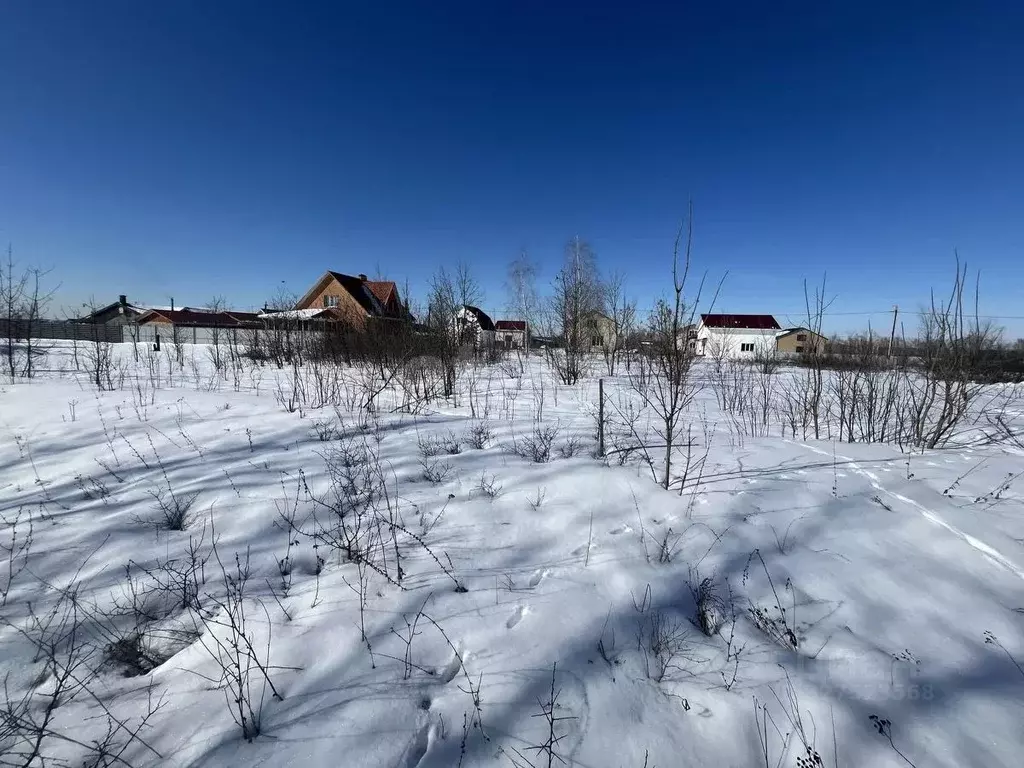 Участок в Воронежская область, Борисоглебск ул. Придорожная, 7 (6.43 ... - Фото 2