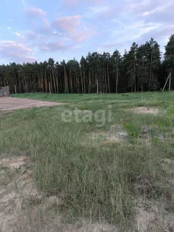 Участок в Липецкая область, Добровский муниципальный округ, с. ... - Фото 1