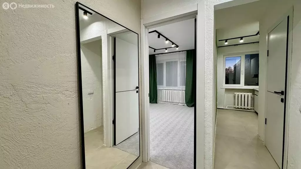 1-комнатная квартира: деревня Корпуса, Заречная улица, 65 (27.9 м) - Фото 1