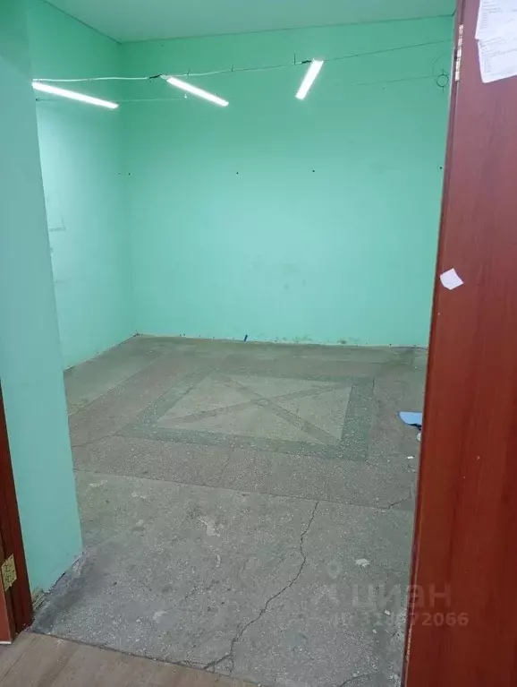 Помещение свободного назначения в Брянская область, Брянск ул. ... - Фото 1