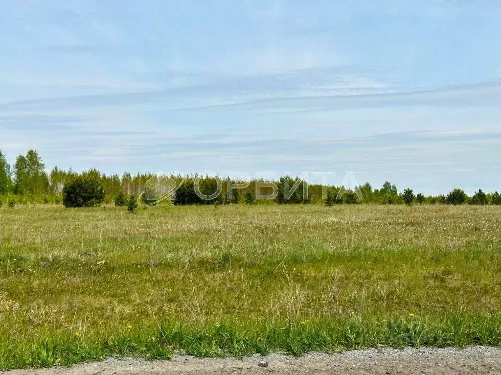 Участок в Курганская область, Шадринский муниципальный округ, д. ... - Фото 1