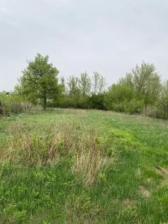 Дом в Волгоградская область, Михайловка городской округ, Себрово рп ... - Фото 1