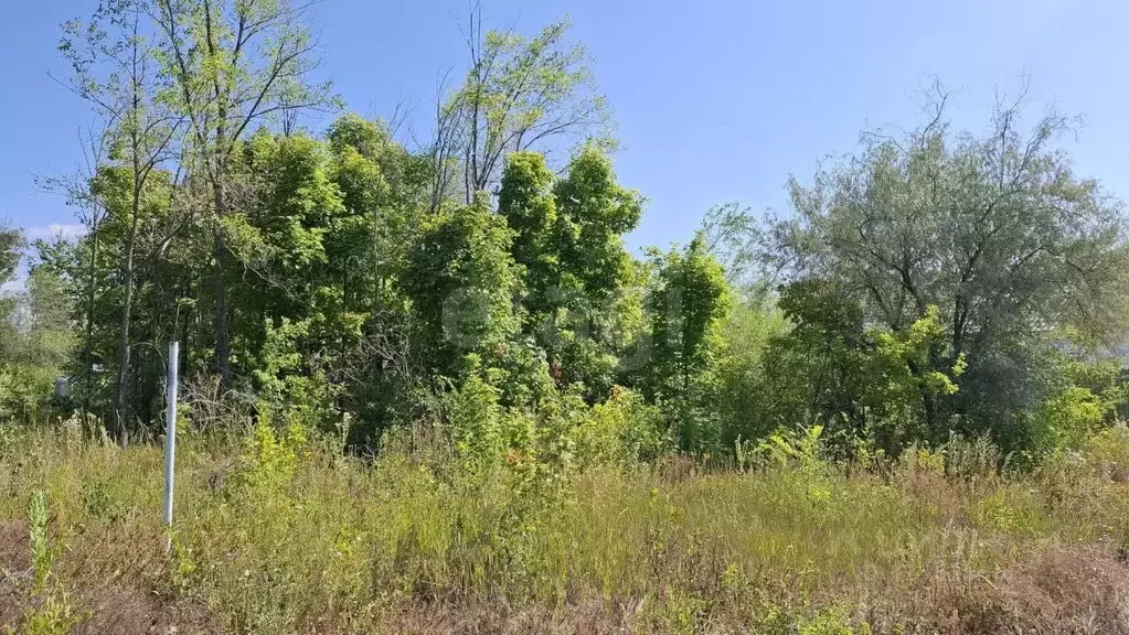 Участок в Саратовская область, Саратов проезд 4-й Назаровский (6.0 ... - Фото 1