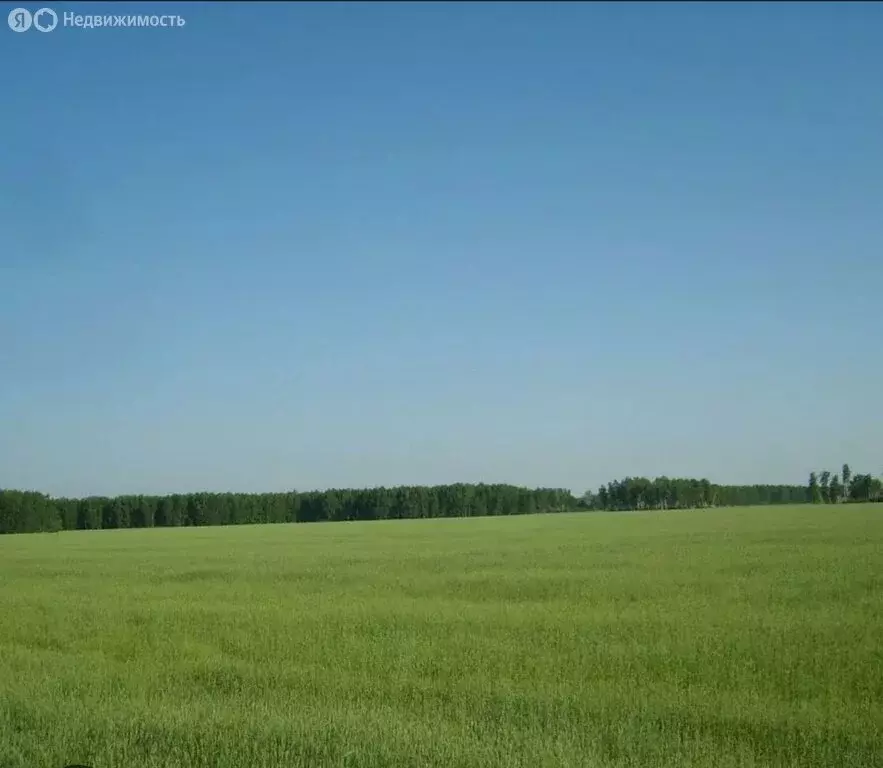 Участок в Заречный, Школьный переулок, 2/4 (12 м) - Фото 1