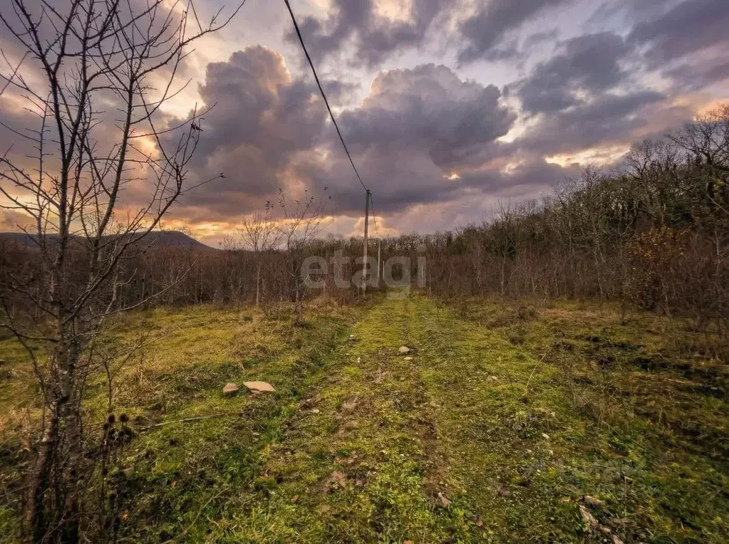 Участок в Краснодарский край, Геленджик городской округ, с. Тешебс  ... - Фото 1
