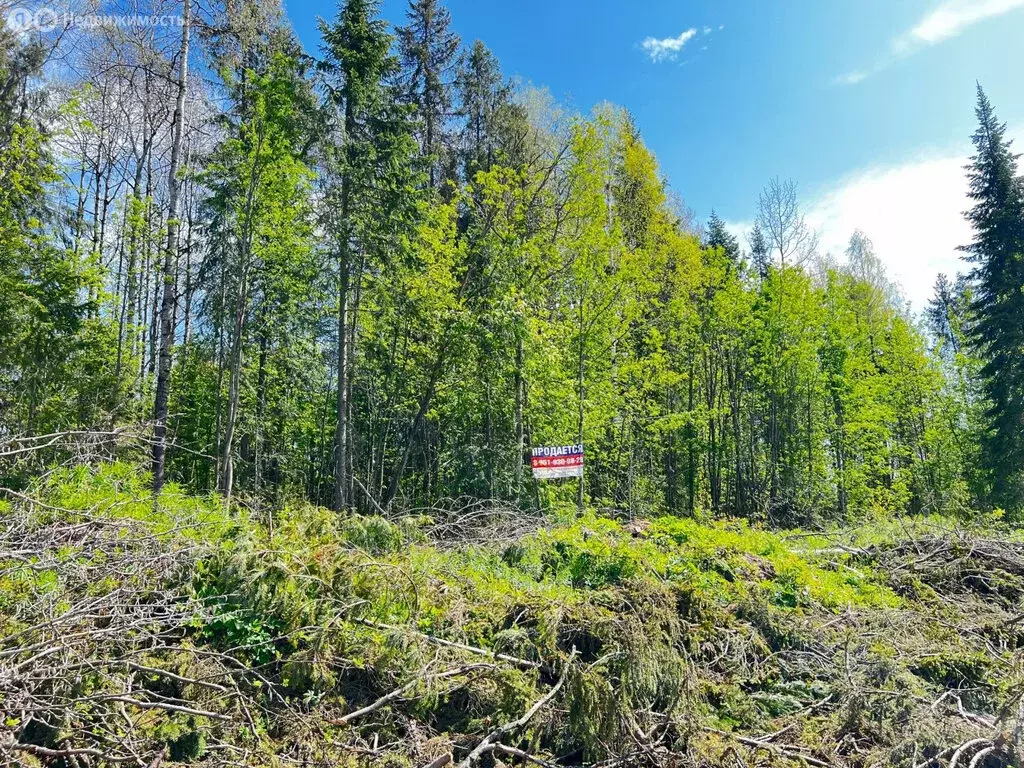 Участок в Березники, Окольная улица (9.179999 м) - Фото 1