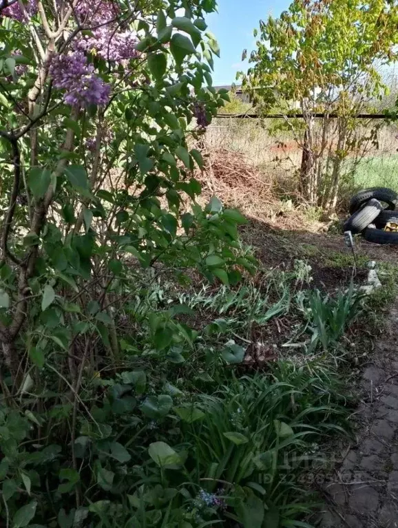 Участок в Саратовская область, Строитель-3 СНТ 74 (5.49 сот.) - Фото 1