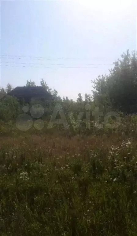 Дом 45,3 м на участке 17 сот. - Фото 0