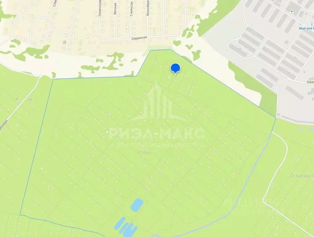 Участок в Брянская область, Брянский район, Снежское с/пос, с. ... - Фото 2