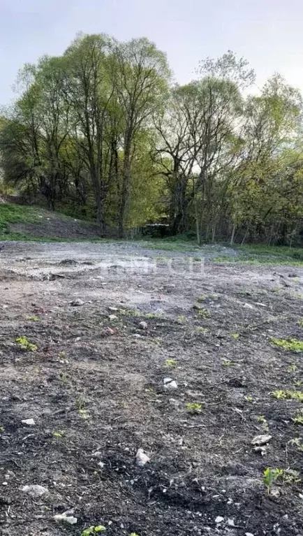 Участок в Московская область, Пущино Серпухов городской округ, ул. ... - Фото 2