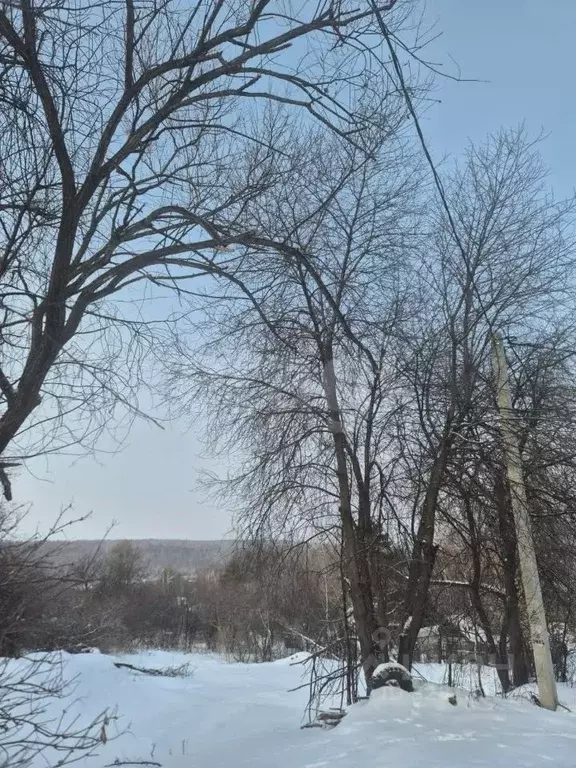 Участок в Амурская область, Благовещенск  (8.5 сот.) - Фото 2