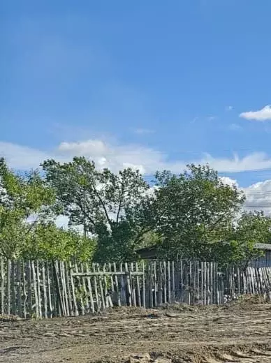 Участок в Оренбургская область, Бузулукский район, Пригородный ... - Фото 1