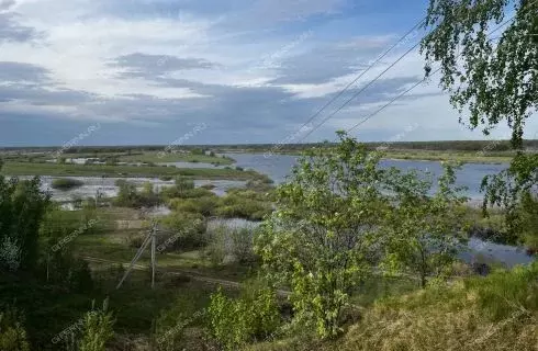 Участок в Нижегородская область, Нижний Новгород д. Малая Ельня, 55 ... - Фото 1