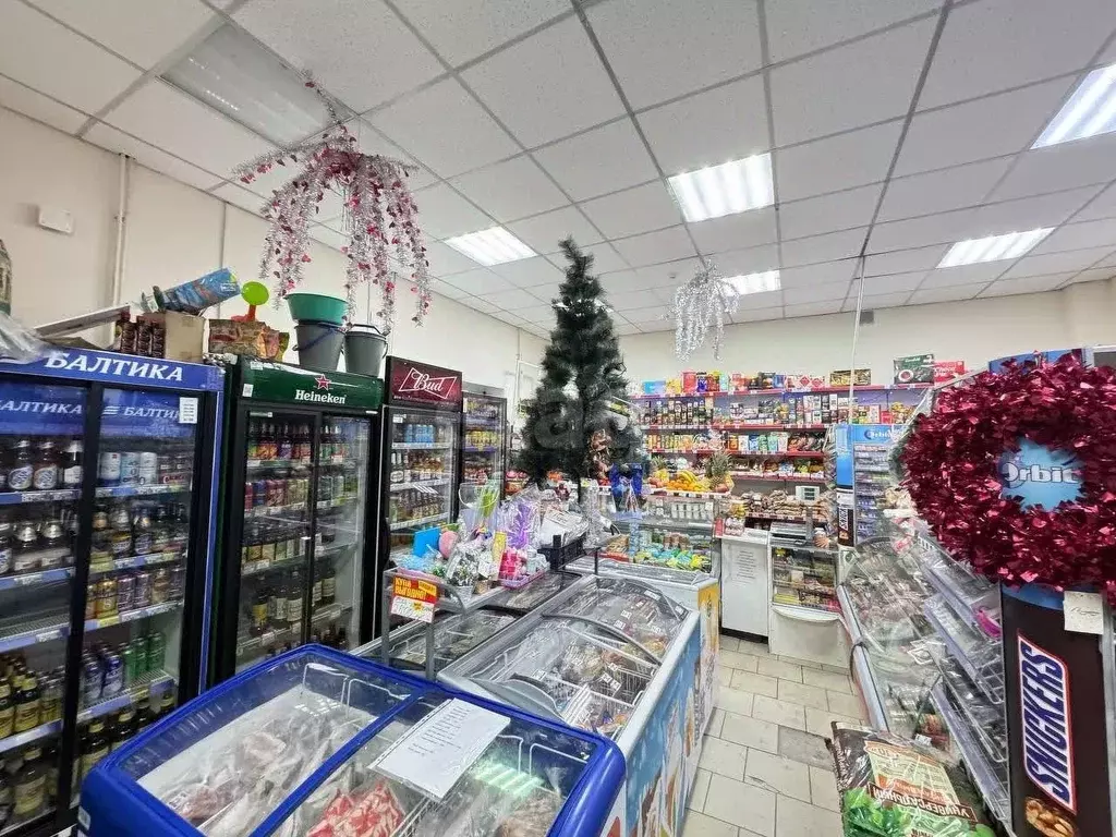 Торговая площадь в Свердловская область, Талица Ромашковая ул., 5 (86 ... - Фото 1