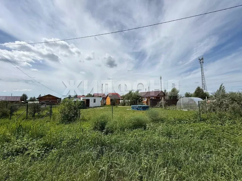 Участок в Новосибирская область, Новосибирский район, Кудряшовский ... - Фото 0
