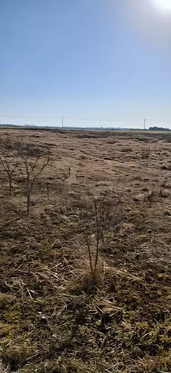 Участок в Московская область, Коломна городской округ, с. Гололобово  ... - Фото 1