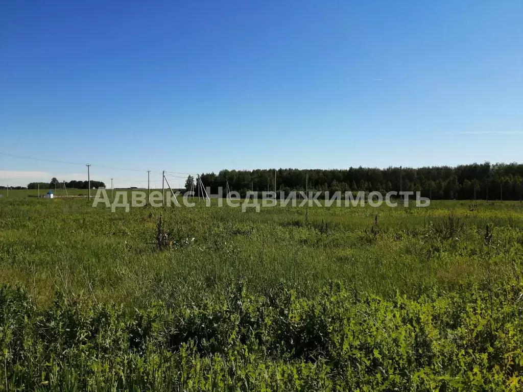 участок в тюменская область, тюменский район, с. червишево (8.0 сот.) - Фото 1