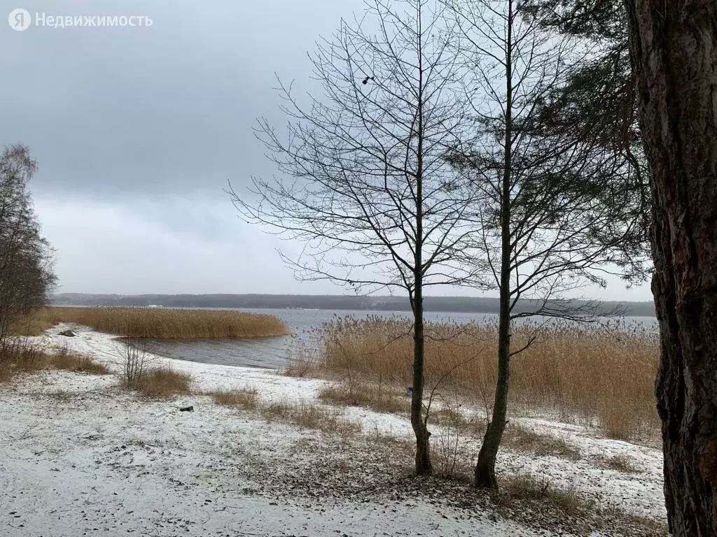 Купить Участок В Сосново Приозерский Районный