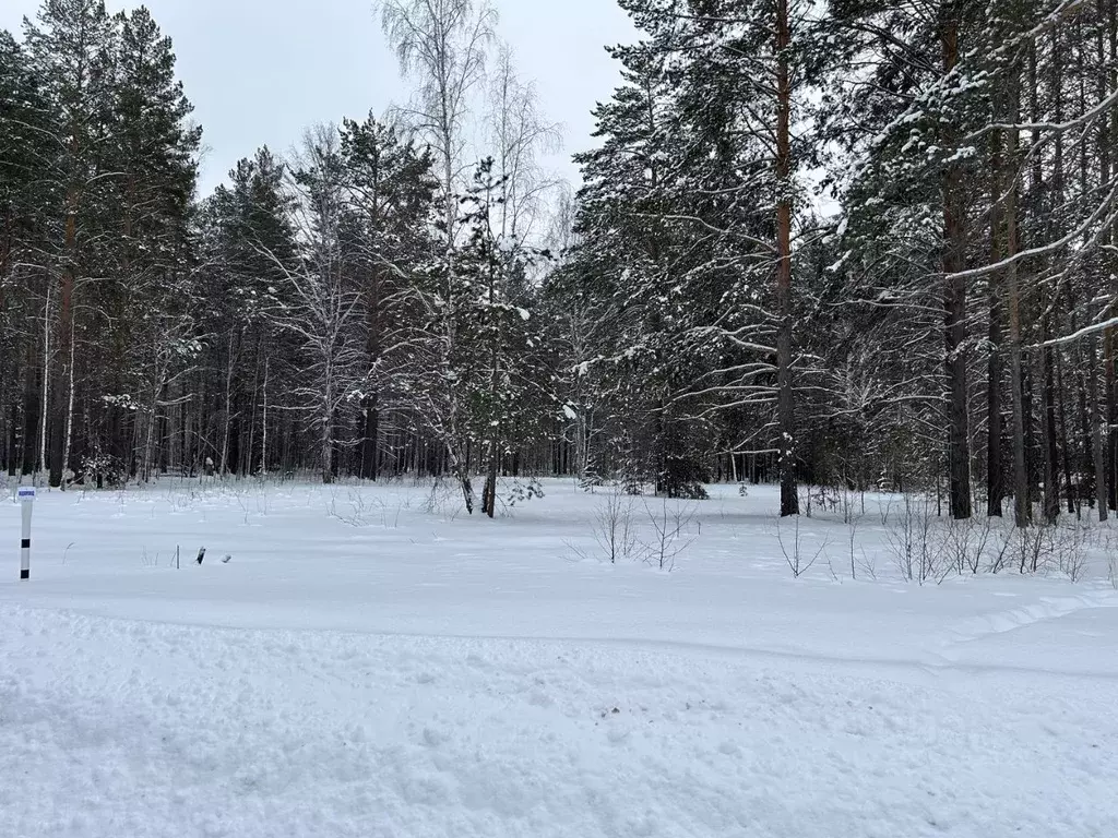 Участок в Свердловская область, Сысертский муниципальный округ, ... - Фото 0