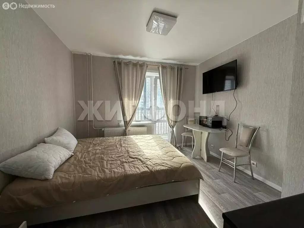 Квартира-студия: посёлок Садовый, микрорайон Околица, 7 (17.9 м) - Фото 2