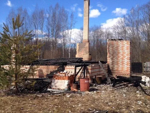 Участок в Новгородская область, Крестецкий район, д. Давыдовщина  ... - Фото 0