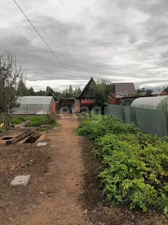 Участок в Свердловская область, Нижний Тагил Дружба СТ, ул. 6-я (6.2 ... - Фото 0